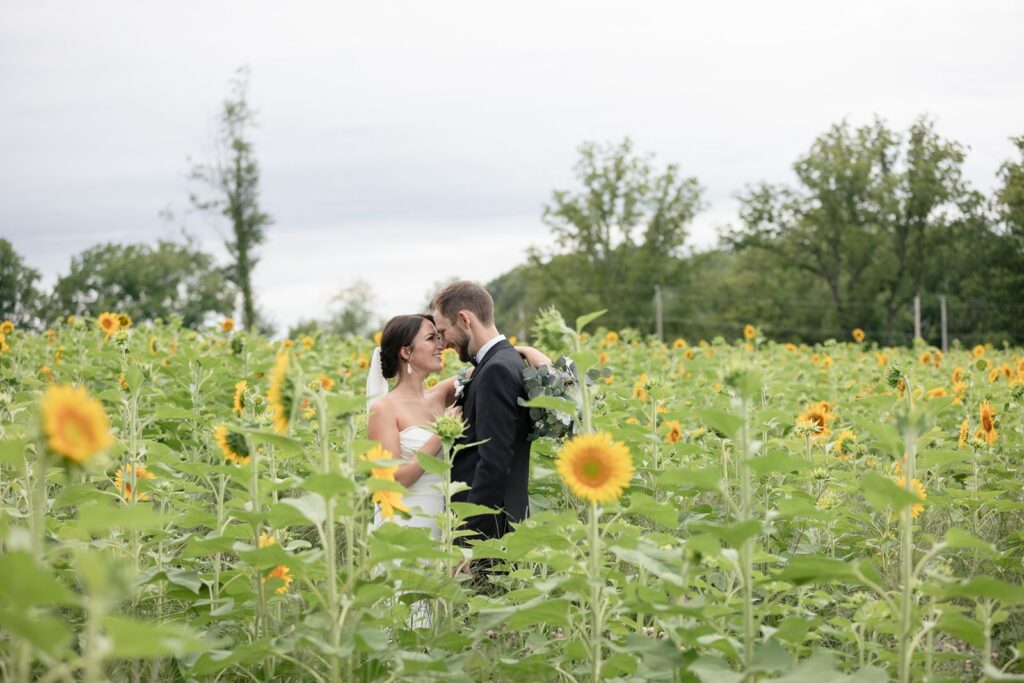 bride and groom in sunflower field tabor hill weddings
