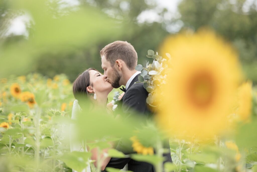 bride and groom in sunflower field tabor hill weddings