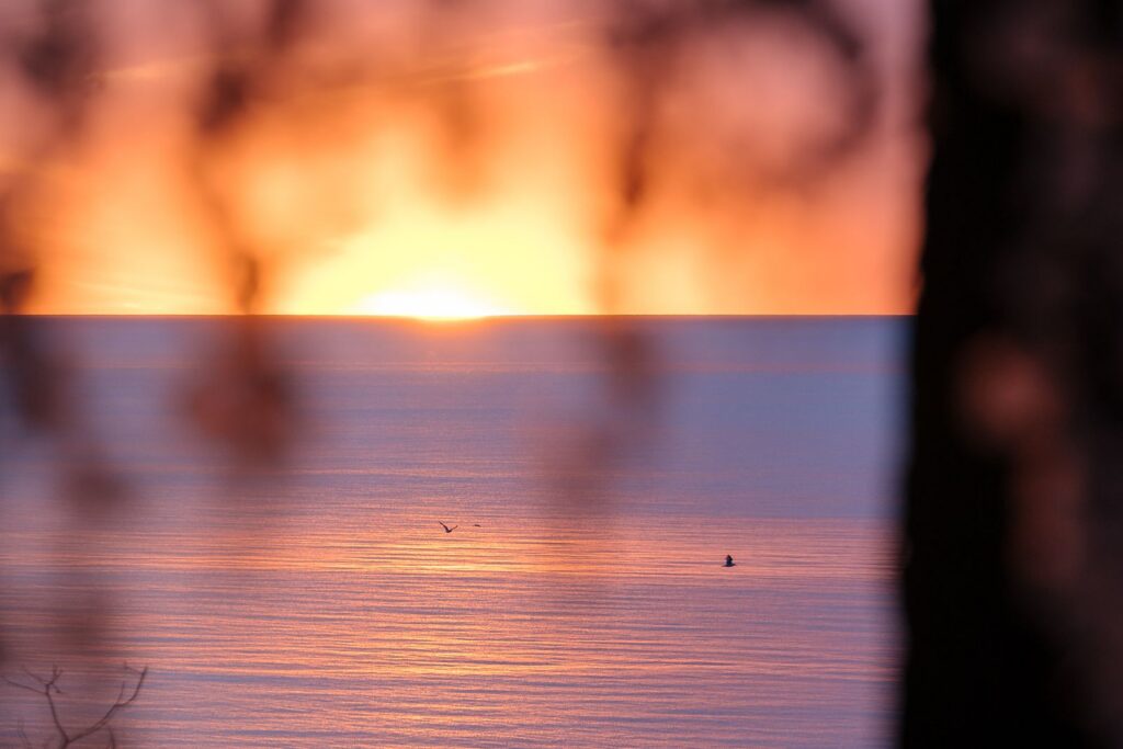 Lake Michigan Sunset birds flying over the water in the sun rays